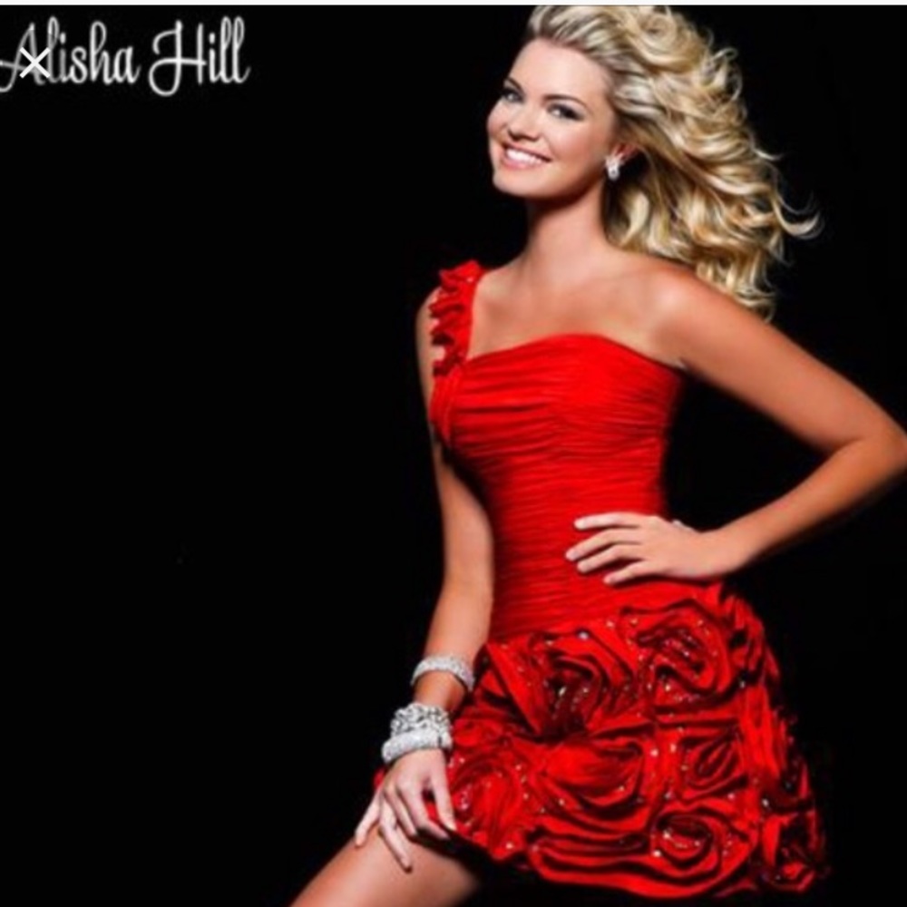 Alisha hill Red cocktail embroidered dress